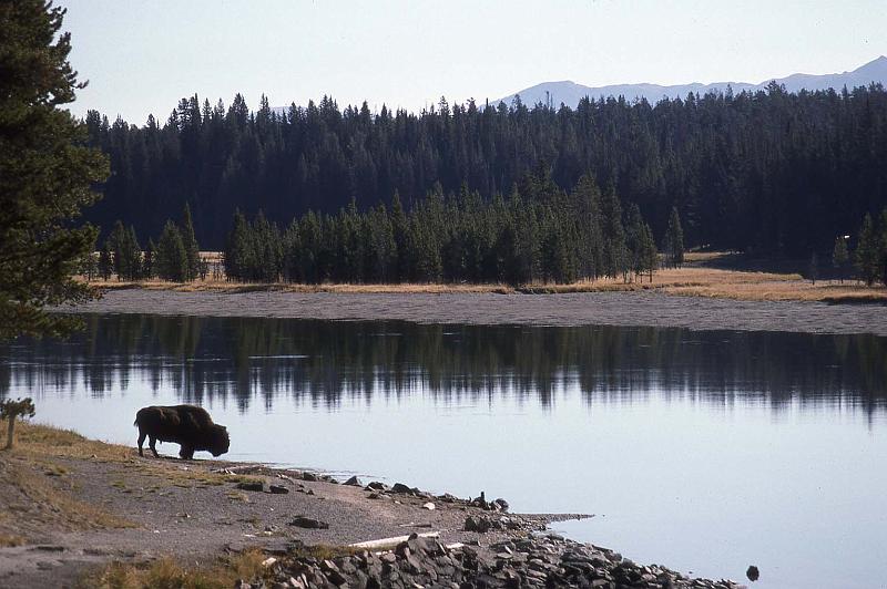 1994-09 Moving Trip MSP-SEA 06.jpg